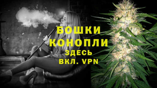 гидра Красноперекопск