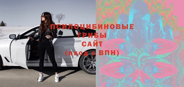 спайс Краснослободск